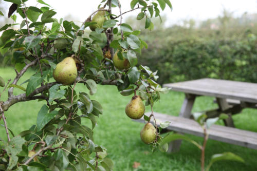 gallery vakantiehuis 19